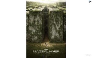 The Maze Runner